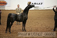 usn07_06666 proof