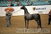 usn07_06667 proof
