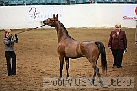 usn07_06670 proof
