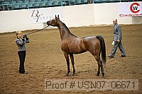 usn07_06671 proof
