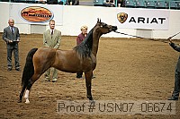 usn07_06674 proof