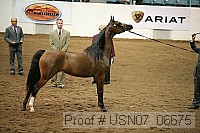 usn07_06675 proof
