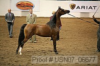 usn07_06677 proof