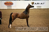 usn07_06679 proof