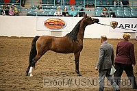 usn07_06680 proof