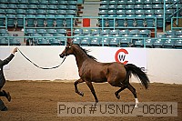 usn07_06681 proof