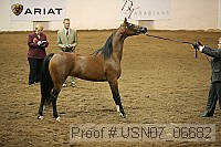 usn07_06682 proof