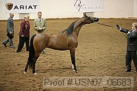 usn07_06683 proof