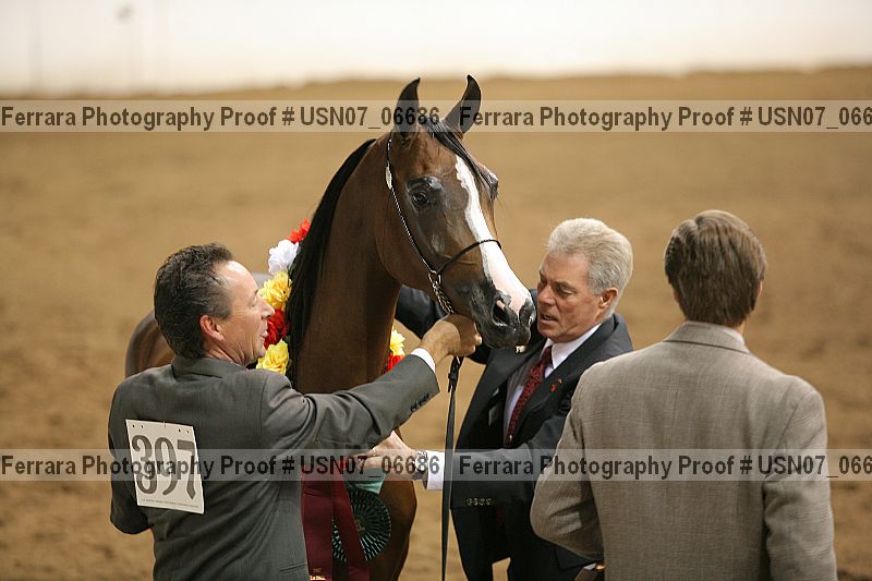 Proof usn07_06686