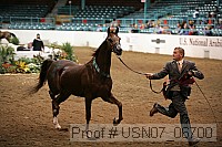 usn07_06700 proof
