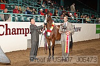 usn07_j06473 proof