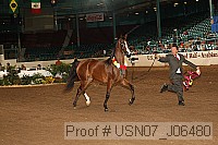 usn07_j06480 proof