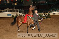 usn07_j06481 proof