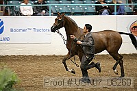 usn07_08260 proof