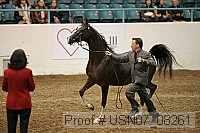 usn07_08261 proof