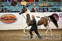 usn07_08264 proof