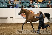 usn07_08266 proof