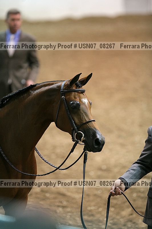 Proof usn07_08267