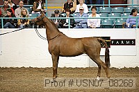 usn07_08268 proof