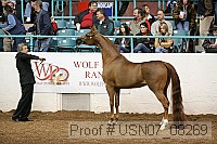 usn07_08269 proof
