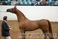 usn07_08271 proof