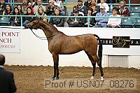 usn07_08276 proof