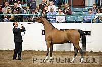 usn07_08280 proof
