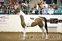 usn07_08281 proof