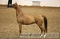 usn07_08283 proof