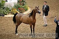 usn07_08285 proof