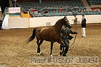 usn07_j08494 proof