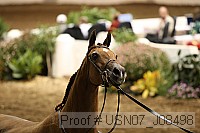 usn07_j08498 proof