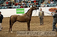 usn07_j08499 proof