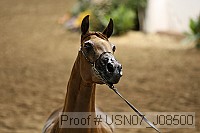 usn07_j08500 proof