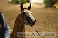 usn07_j08501 proof