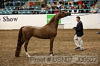 usn07_j08502 proof