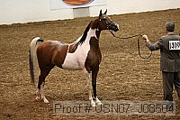 usn07_j08504 proof