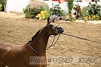 usn07_j08505 proof