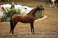 usn07_j08506 proof