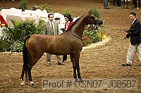 usn07_j08507 proof