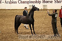 usn07_j08509 proof