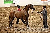 usn07_j08513 proof