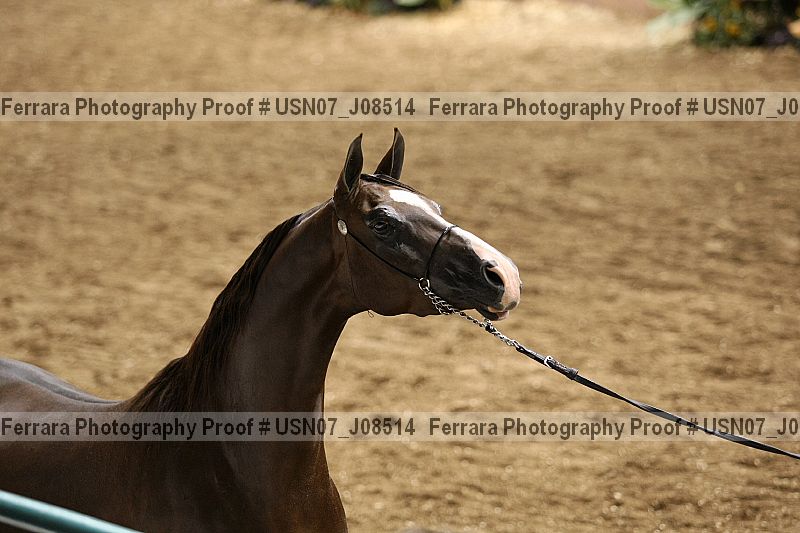 Proof usn07_j08514