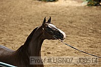 usn07_j08514 proof