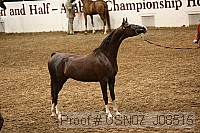 usn07_j08515 proof