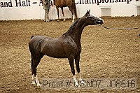 usn07_j08516 proof