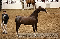 usn07_j08517 proof