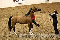 usn07_j08518 proof