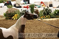 usn07_j08519 proof