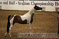 usn07_j08520 proof